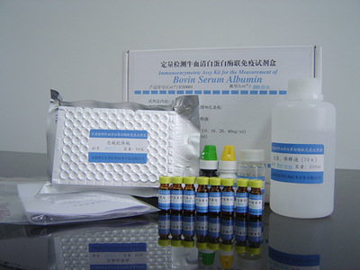 IL-1β检测试剂价格与品牌对比 R&D、RB、IBI、Invitrogen进口/国产综合分析